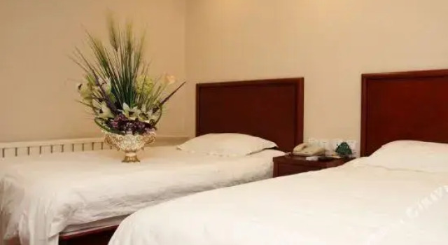 Люкс Superior GreenTree Inn Tianjin Dongli District JinZhong Bridge Xinzhong Village Express Hotel
