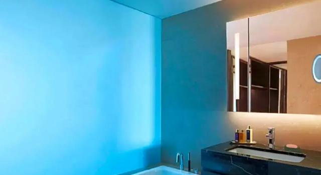 Двухместный номер Superior с видом на город Vivanta Guwahati