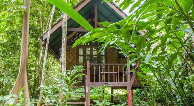 Бунгало Standard Our Jungle House