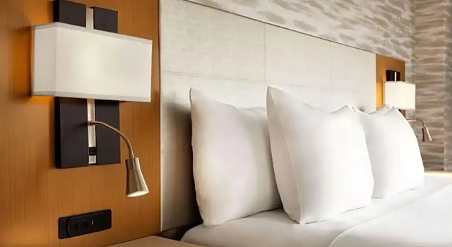 Номер Business Radisson Udaipur