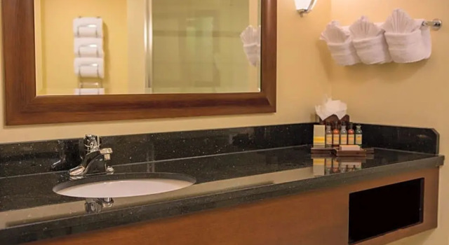 Номер Standard с видом на город Baltimore Marriott Inner Harbor at Camden Yards