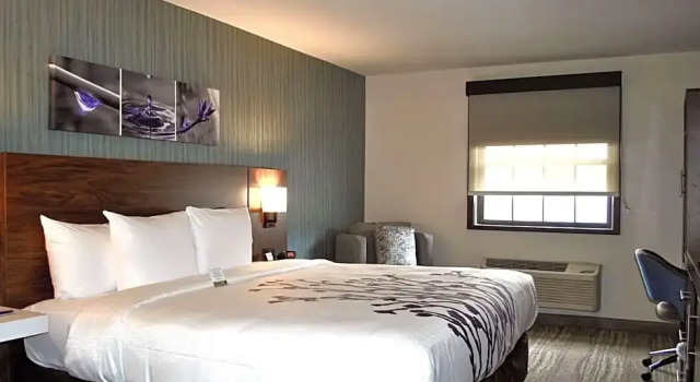 Люкс Superior Sleep Inn Oakbrook Terrace - Chicago