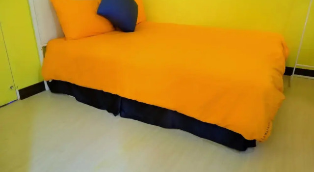 Young Hostel, Book Hostel / Vandrerhjem Hostels i Auckland, Hostel / Vandrerhjem