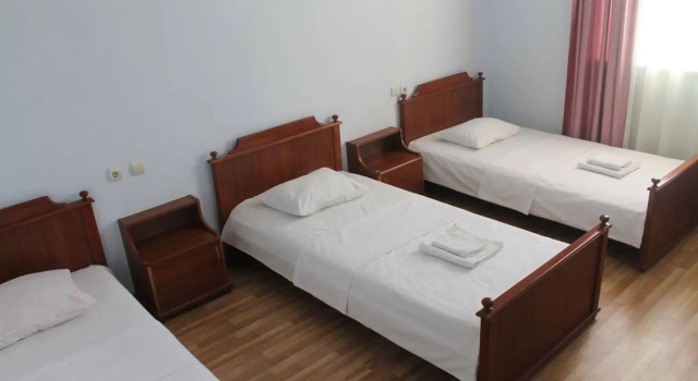Tirifiholiday, Prenota Hotel Sulkhan-Saba Kutaisi