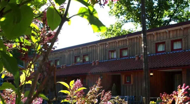 Randbøldal Camping & Cabins, Réserver Camping Randbol Syddanmark