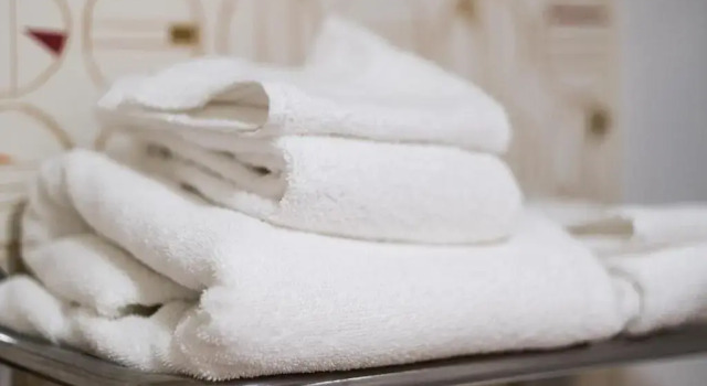 Двухместный номер Executive Holiday Inn Grand Haven-Spring Lake by IHG