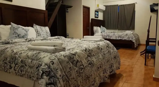 Люкс Premium c 1 комнатой Hotel & Restaurant Fleur de Lis