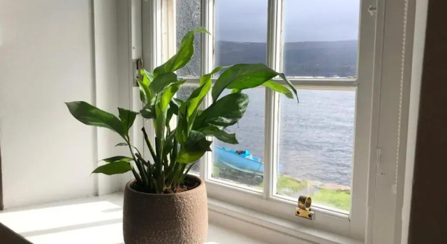 Апартаменты Fyne View Apartment