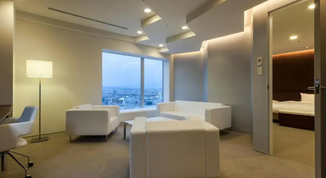 Люкс Daiwa Roynet Hotel Numazu