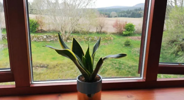 Номер Superior 5-Bed Highland Lodge - NC500 - Sleeps 10