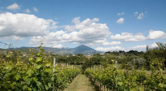Номер Standard Palazzo Tronconi agriturismo