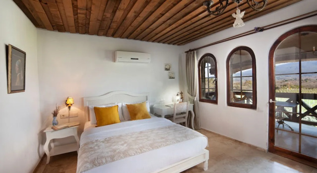 Номер Economy Vinifera Vineyards Hotel