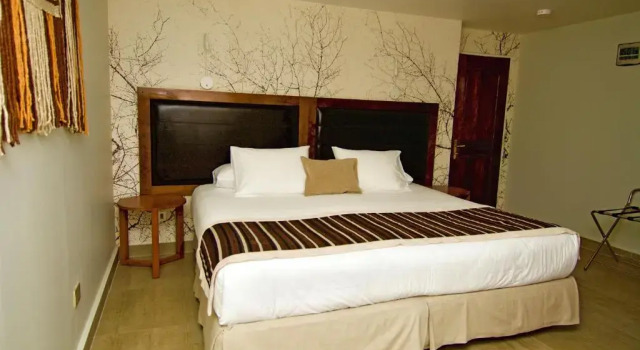 Одноместный номер Standard Hotel La Casa de Don Tomás