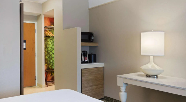 Двухместный номер Standard Hilton Garden Inn Ft. Lauderdale SW/Miramar