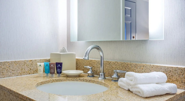 Двухместный полулюкс Crowne Plaza New Orleans French Qtr - Astor by IHG