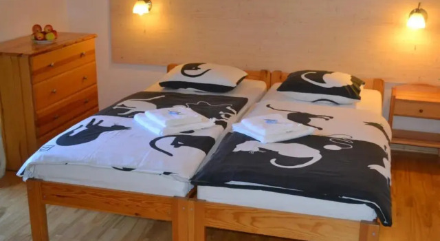 Standard Twin room with balcony Mariu Krantas