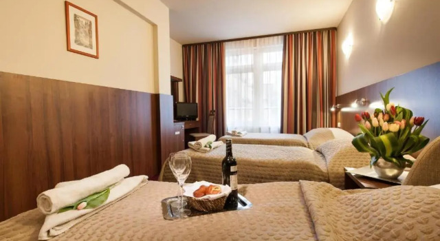 Двухместный номер Standard Hotel Alexander