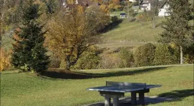 Ferienwohnung im Terrassenpark Sasbachwalden, Buchen Sie Ferienwohnung Sasbachwalden Schwarzwald