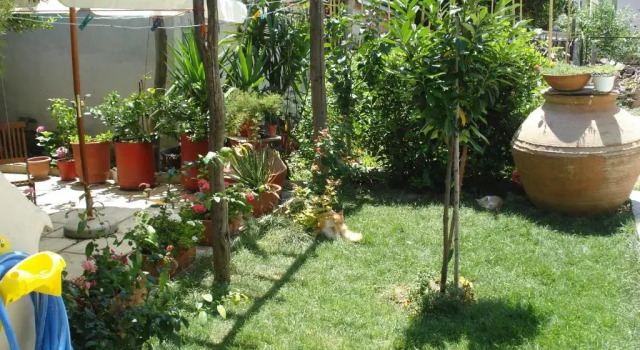 Студия Guesthouse Machi