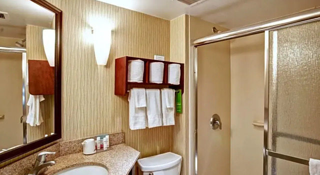 Двухместная студия Hampton Inn College Station-Near Texas A&M University