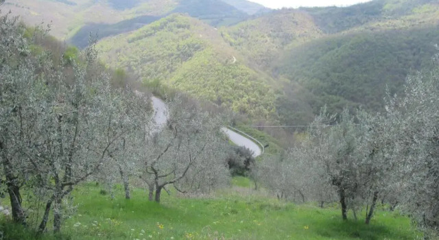 Вилла Luxury Casale Sabina Valley