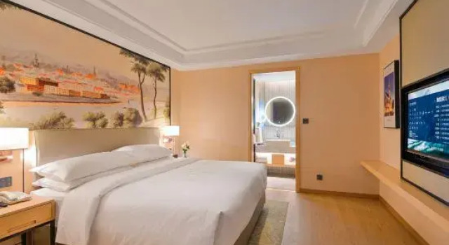 Люкс Deluxe Vienna Hotel (Donghai Jingdu Avenue)