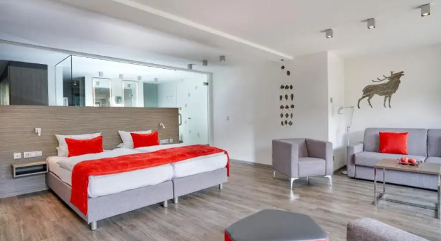 Двухместный номер Premium Hotel Traube Tonbach