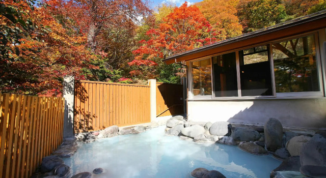 Двухместный номер Standard Chuzenji Kanaya Hotel