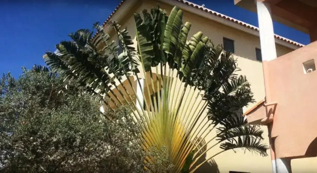 Moderno Apartamento en Residencia Playa Dominicus Bayahibe ---- Appartamento Moderno in Residenza Privata Dominicus Spiaggia Bayahibe ---- Modern Apartment in Private Residence Dominicus Bayahibe beach