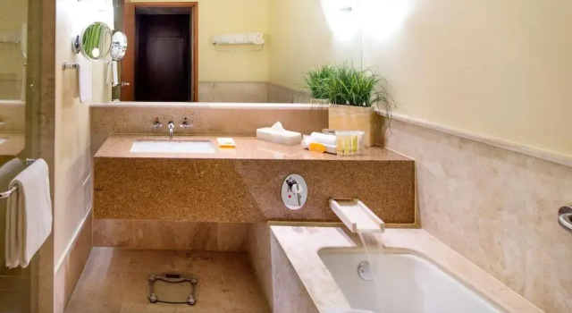 Двухместный номер Deluxe Grand Fiesta Americana Queretaro