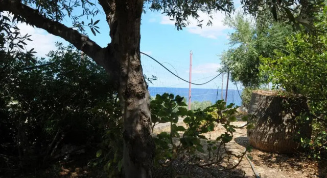 Апартаменты Aris House - Cretan Hospitality