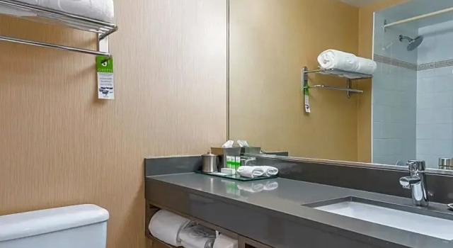 Номер Deluxe Executive Plaza Hotel Metro Vancouver