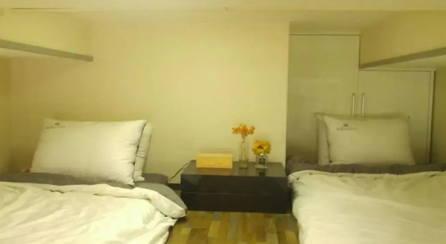 Luxury Loft and Free wifi egg