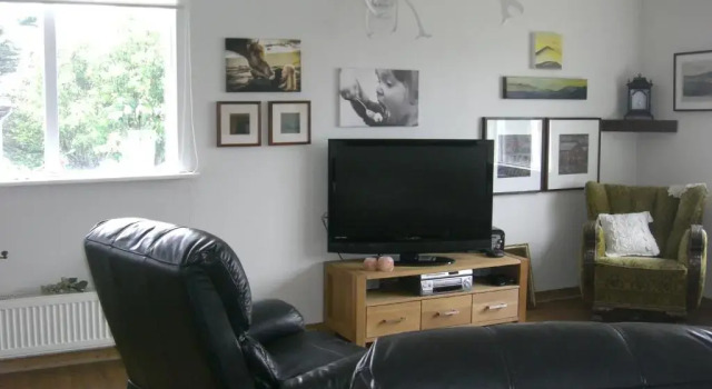 Номер Standard Guesthouse Galleri Vík