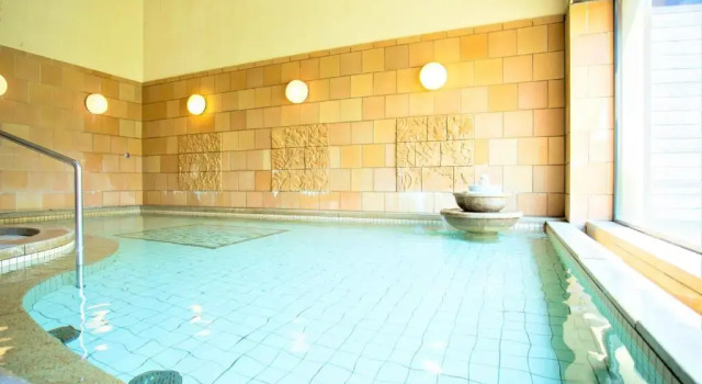 Номер Standard Mineyama Kogen Hotel Relaxia