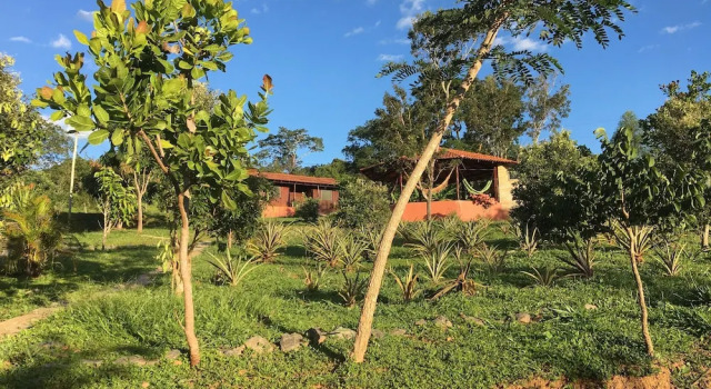Люкс с балконом Rancho Ecologico Oasis de Luz