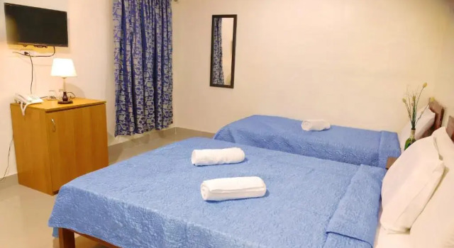Номер Deluxe CounTess Pension House