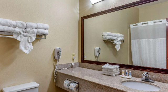 Vierer Suite Comfort Suites Plainview