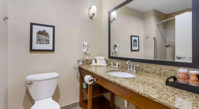 Двухместный люкс Comfort Suites East Lincoln - Mall Area