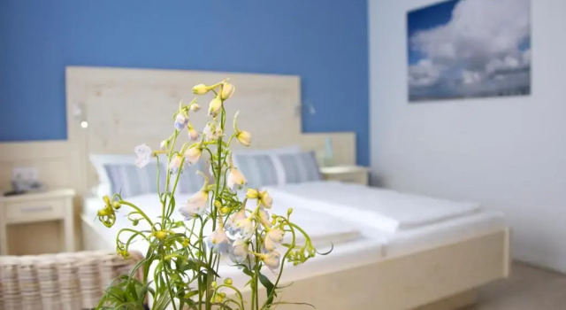 Двухместный номер Standard Mein Inselhotel