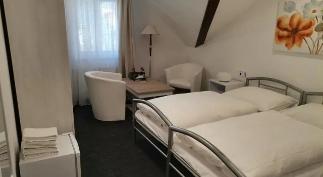 Двухместный номер Standard Grand Vltavín