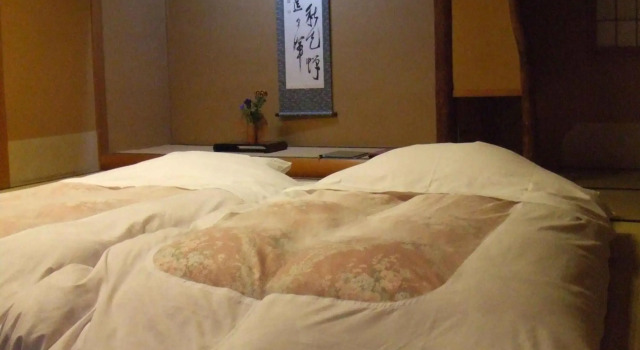 Shiunso, Prenota Hotel Hotel SPA a Hakone, SPA