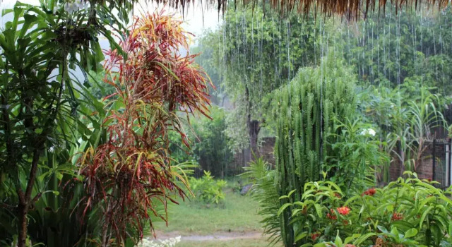 Serahs Homestay, Buchen Sie Hotel Kuta Lombok