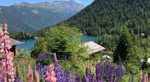 Апартаменты Au Vieux Champex