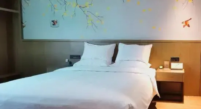 Люкс Zhicheng Boutique Hotel (Wangjialiang Subway Station Nanhubei Road Subway Station)