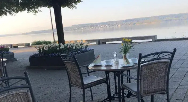 Одноместный номер Standard с балконом и с видом на озеро Hotel Seegarten