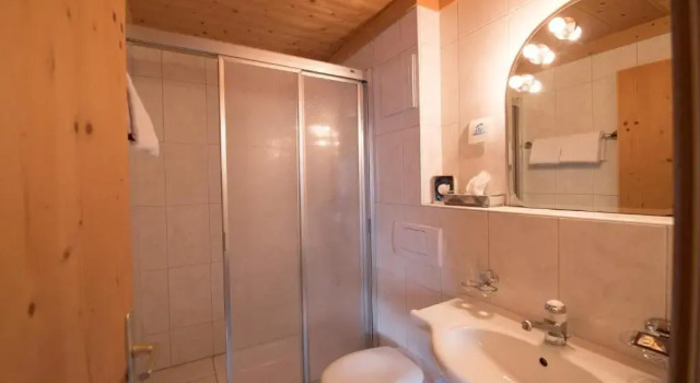 Номер Standard Hotel Garni Postigliun Andiast