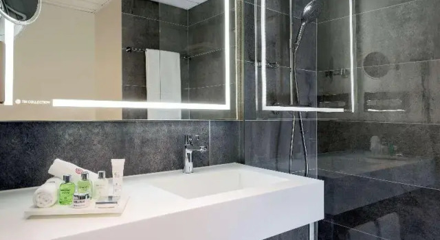 Двухместный номер Standard Avani Frankfurt City Hotel
