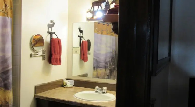 Одноместный номер Deluxe The Woodsman Country Lodge Motel