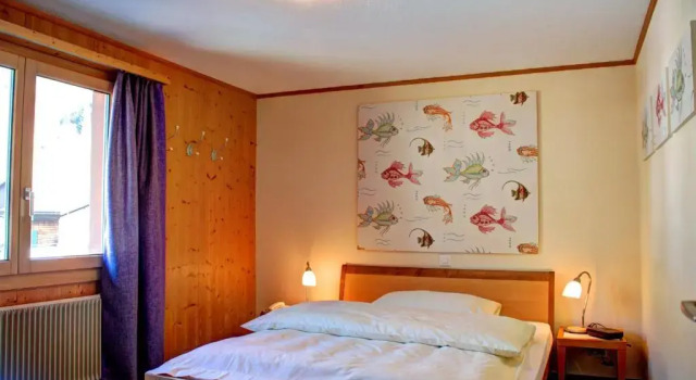Одноместный номер Standard Hotel Garni Hostatt